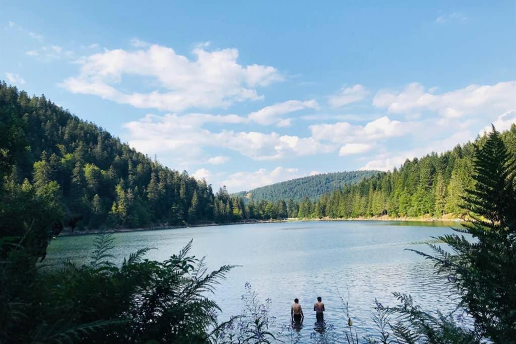 Lullaby House - Large, Full Comfort 5 Star Chalet House In The Vosges Ramonchamp Bagian luar foto