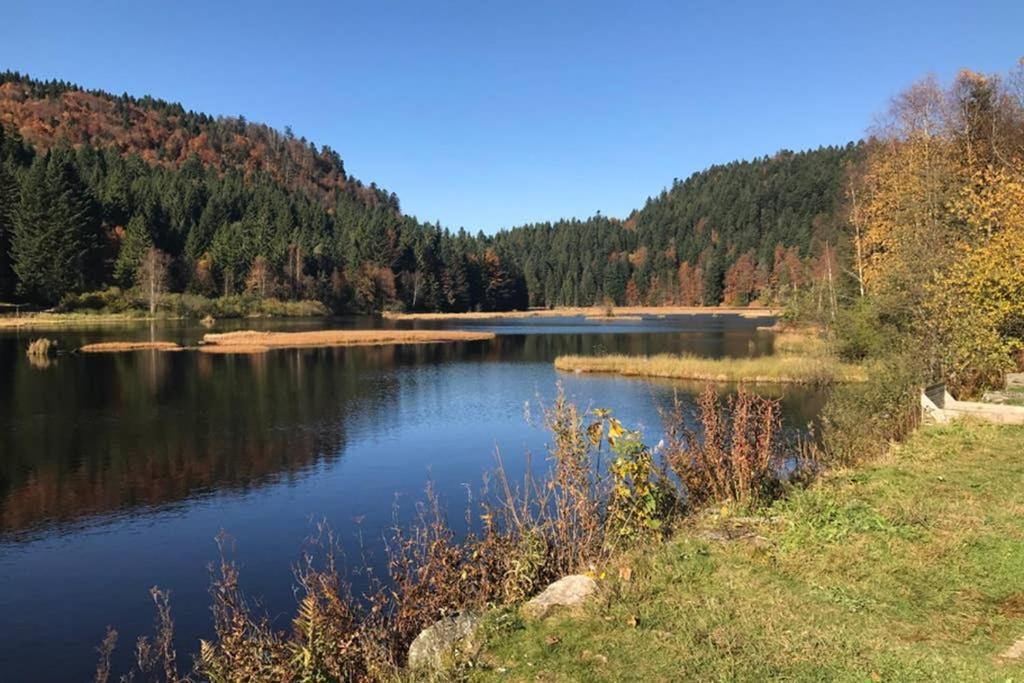 Lullaby House - Large, Full Comfort 5 Star Chalet House In The Vosges Ramonchamp Bagian luar foto